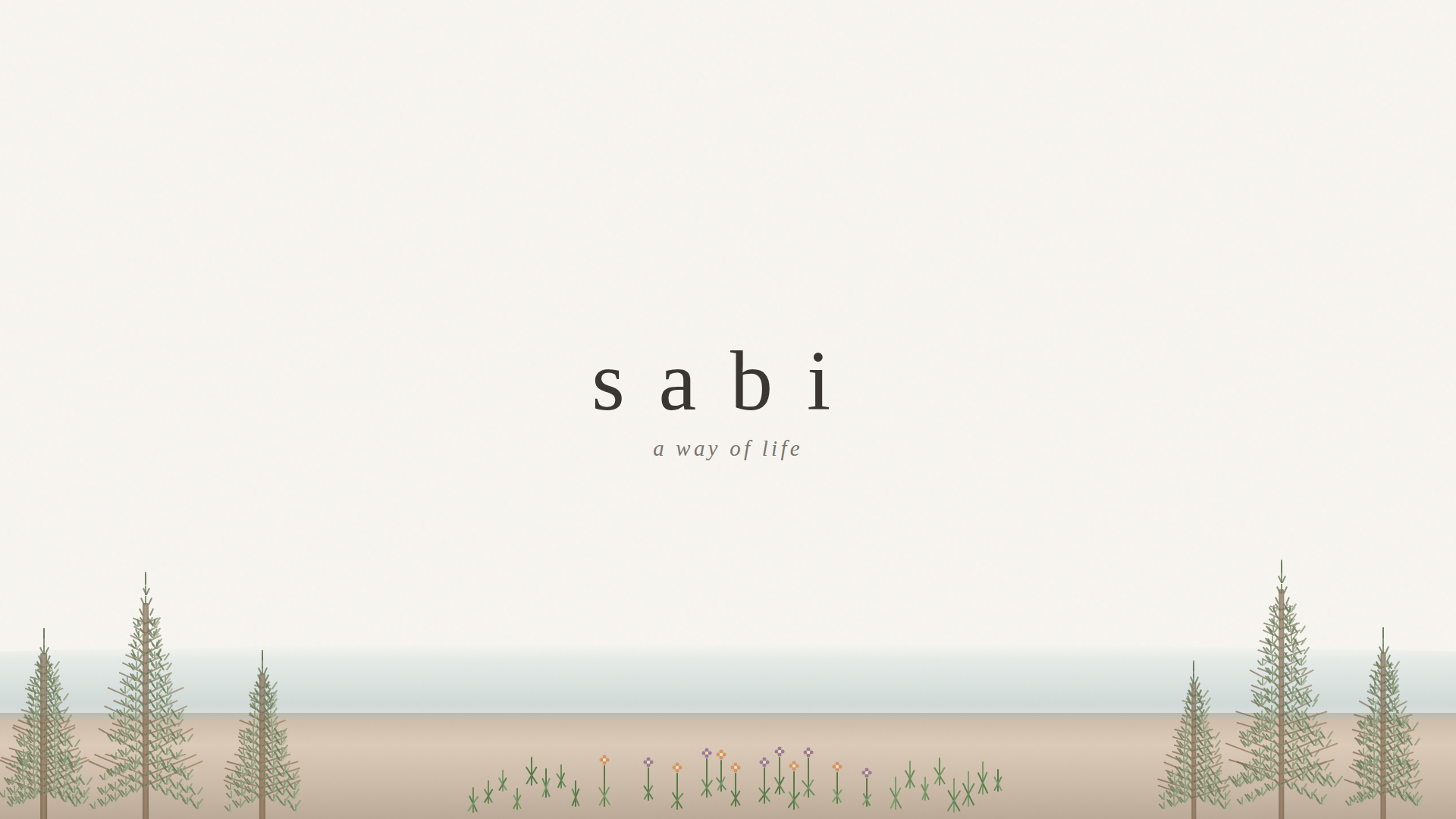 Contact – sabi