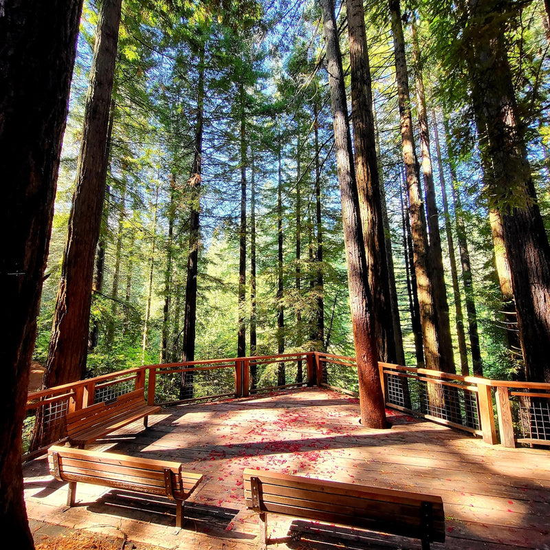 Hoyt Arboretum, Portland. Photo via Google Business Profile / Hoyt Arboretum