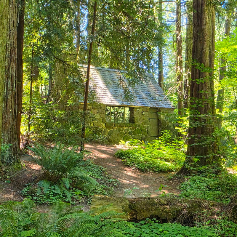 Leach Botanical Garden, Portland. Photo via Google Business Profile / Leach Botanical Garden