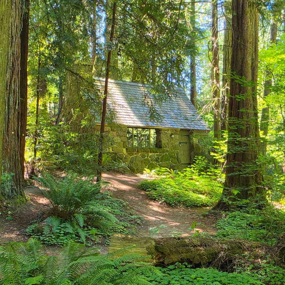 Leach Botanical Garden, Portland. Photo via Google Business Profile / Leach Botanical Garden